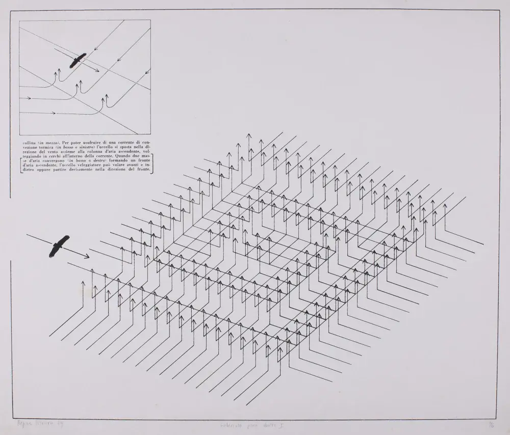 Labirinto para Abutre I, 1974 — Serigrafia