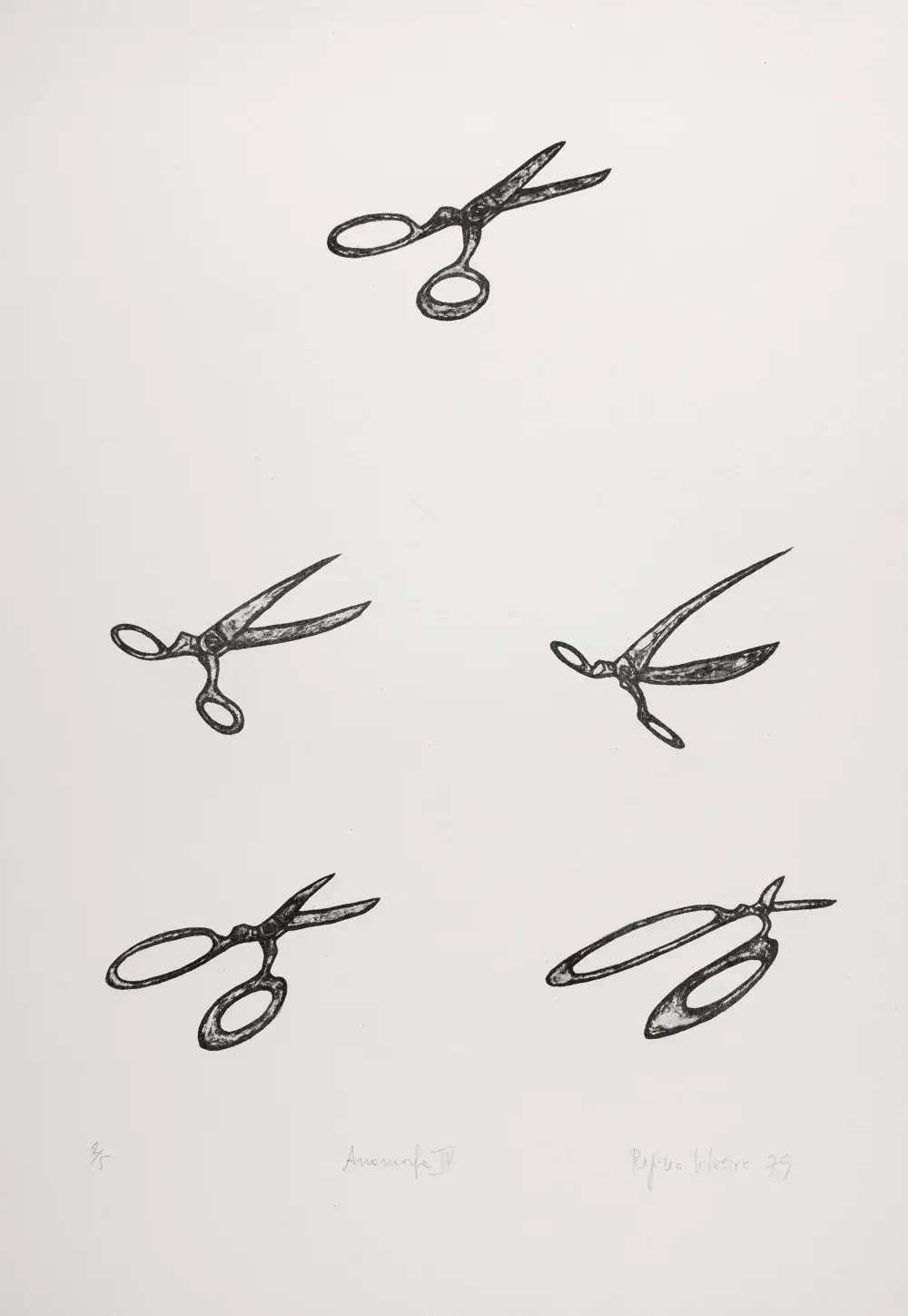 Anamorfa I, 1979 — Litografia sobre papel