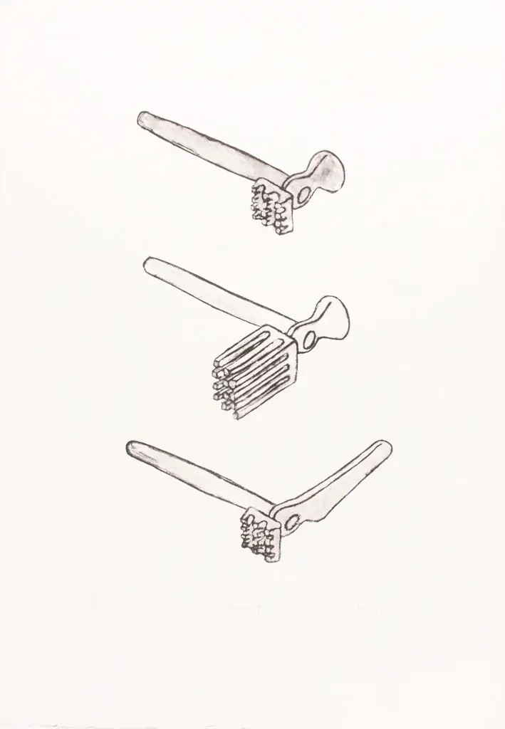 Anamorfa I, 1979 — Litografia sobre papel