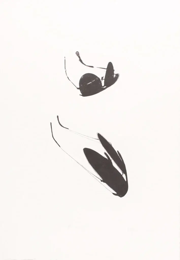 Anamorfa I, 1979 — Litografia sobre papel