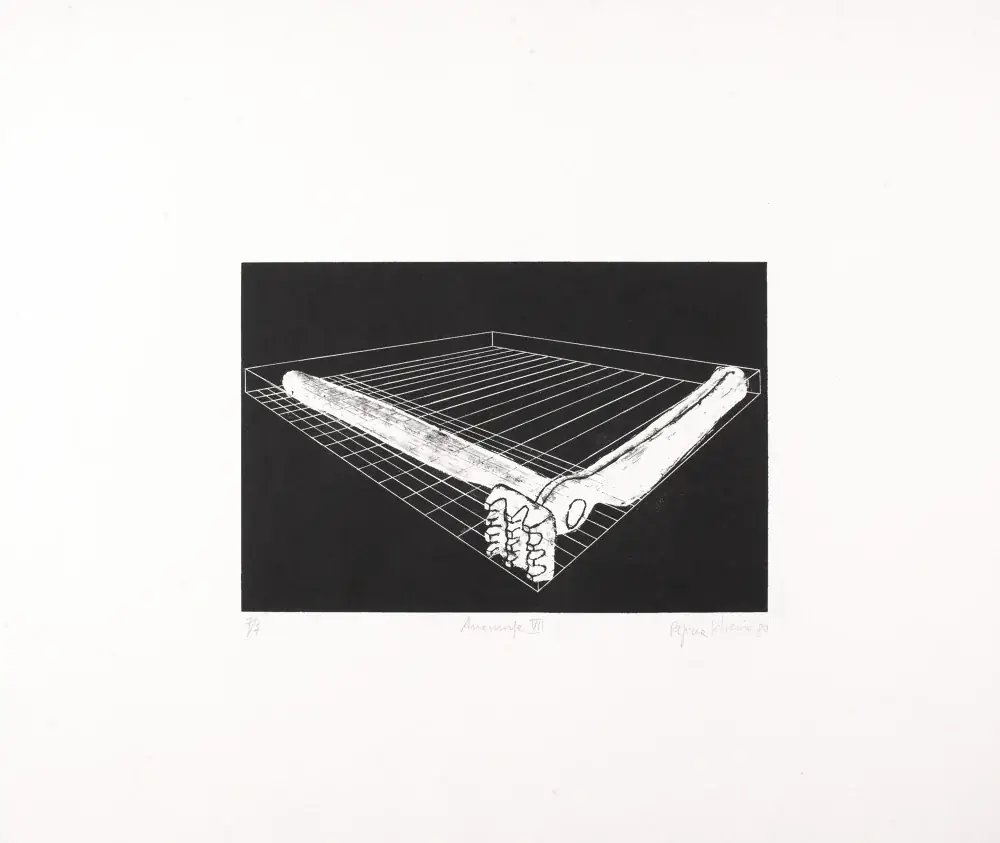Anamorfa I, 1979 — Litografia sobre papel