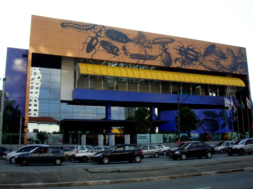 Mundus Admirabilis, 2020 — Vinil adesivo