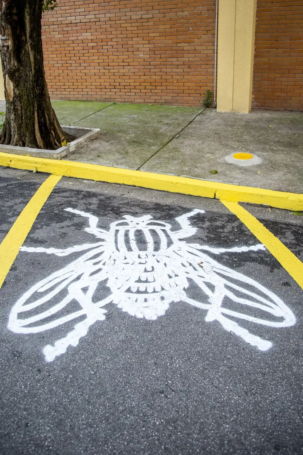 Phantasmata – São Paulo, 2015 — Pintura sobre asfalto