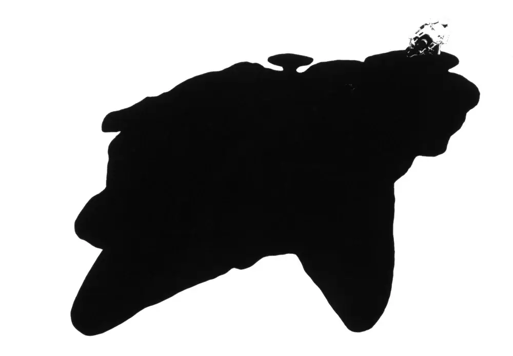 Velox Series, 1998 — Serigrafia sobre poliestireno e brinquedo